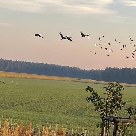 Ferienhaus Naturblick Villa Drahnsdorf Eksteriør bilde