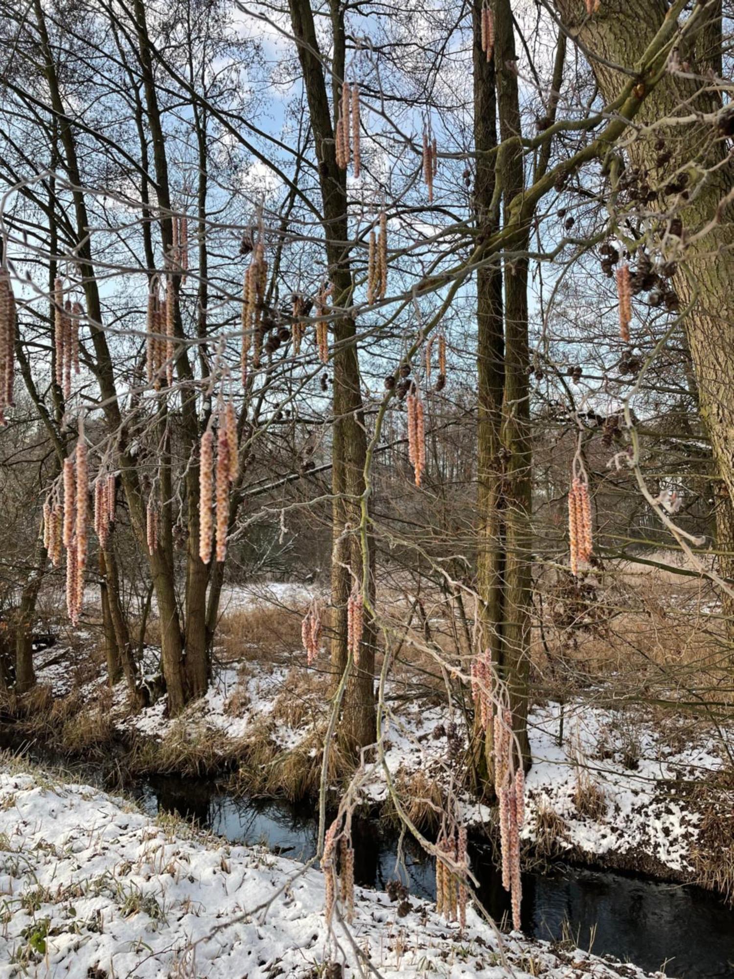 Ferienhaus Naturblick Villa Drahnsdorf Eksteriør bilde